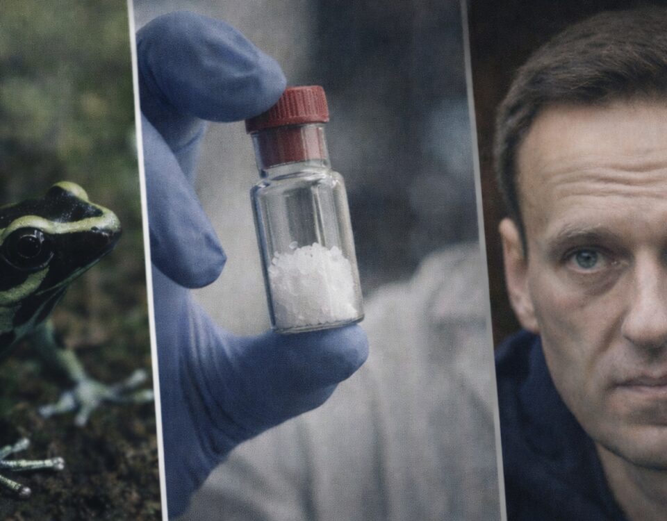 Epibatydyna jako silny „lek” przeciwbólowy i toksyna, która zabija – pochodzenie, działanie i wątek Nawalnego min